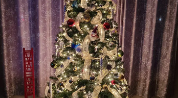 Fionn Maccool's Bebida