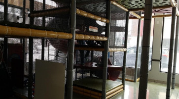 McDonald's À l'intérieur