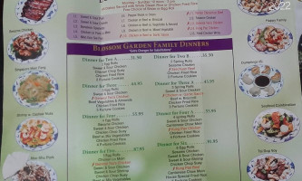 Blossom Garden Chinese Restaurant menu