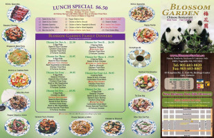 Blossom Garden Chinese Restaurant menu