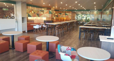 Chafresh Chá Xiān Chá Yǔ Dentro