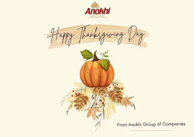 Anokhi Inspired Indian Dining logo