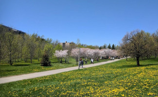 Pizza Pizza Extérieur