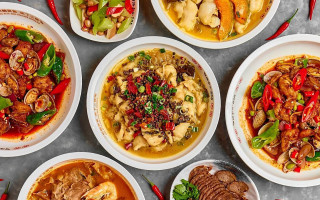 M. Poisson Yú Xiǎo èr Suān Cài Yú Mr. Fish food