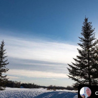 Cardinal Grill Extérieur