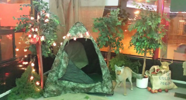 Ace Pizzeria Exterior