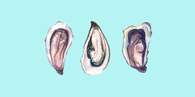 Bistro Pic Bois Taverne drink