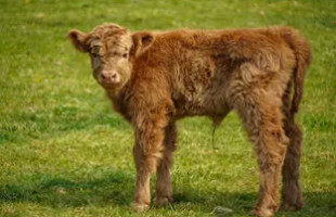 Omega Cafe Extérieur