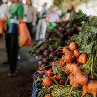 The Saskatoon Farm Minuman