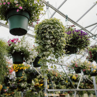 The Saskatoon Farm Esterno