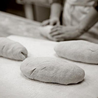 Wild Flour Bakery Bebida