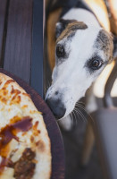 The Bear Street Tavern Comida