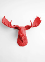 Beavertails Banff (west) Boisson