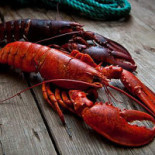 Fishmart Royal Star Foods Comida