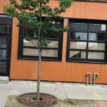 Yo Co Espresso Extérieur