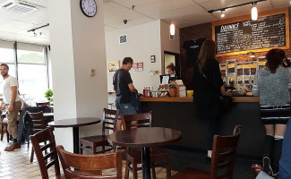 Java Blend Coffee Roasters Dentro