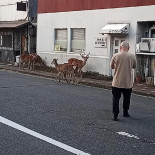 Beardlington Café Extérieur