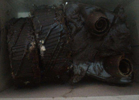 Shalom Ethiopian Eritrean Bebida