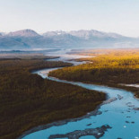 El Pocho Antojitos Bar