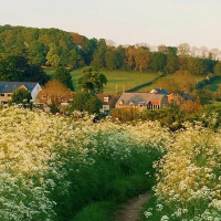 Chinese Traditional Bun outside