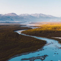 Chinese Traditional Bun outside