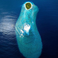 Chinese Traditional Bun drink