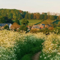 Shawarmaz Extérieur