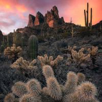 Shawarmaz Extérieur