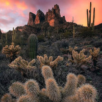 Chef on Call outside