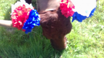 Square Boy Pizza drink