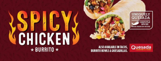 Quesada Burritos Taco's