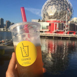 Boba Essence Boisson