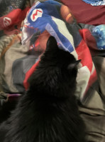 Jumbo 3 For 1 À l'intérieur