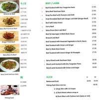 Grand View Szechuan Restaurant Ltd menu