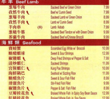 Northern Dumpling Kitchen Xìng Lóng Xuān food