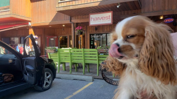 Harvest Cafe outside