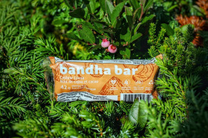 Bandha Nutrition Products outside