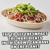 Chipotle Mexican Grill Nourriture