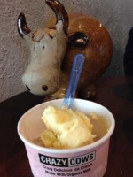 Crazy Cows Ice Cream And Gelato food