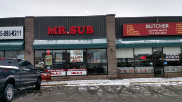 Mr.sub food