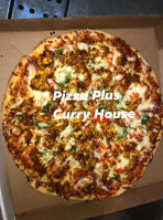 Pizza Plus Curry House (wyandotte St. E) food