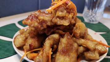 Nutshell 23.5 Degrees food