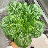 Bountiful Farmers' Market À l'intérieur