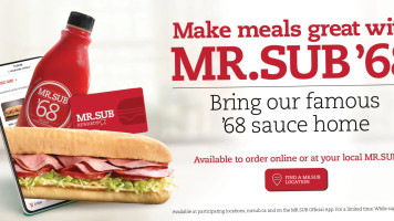 Mr.sub food
