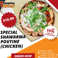 Shawarma Wrap food