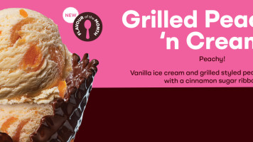 Baskin Robbins food