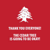 Cedar Tree food