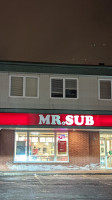 Mr.sub food