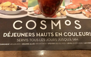 Cosmos food