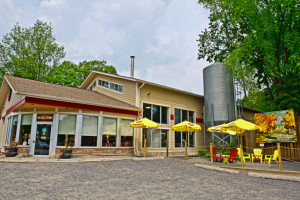Lake Of Bays Brewing Co. outside